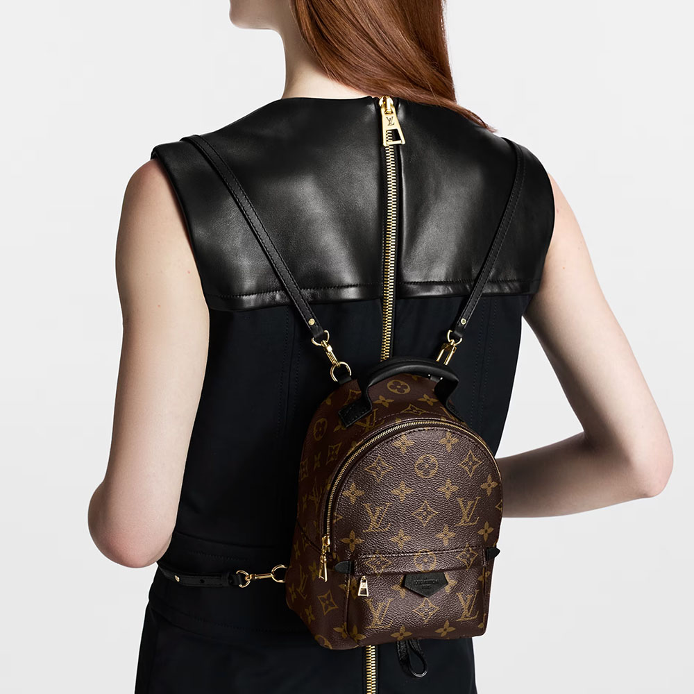 Louis Vuitton LV Palm Springs Backpack Mini&Small&Medium
