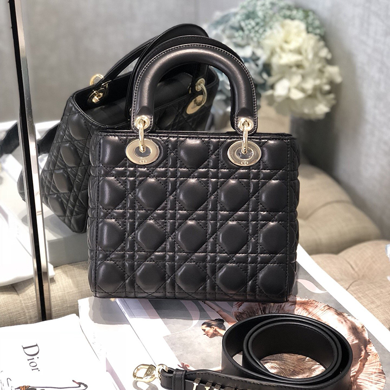 Dior The LADY D-LITE Bag