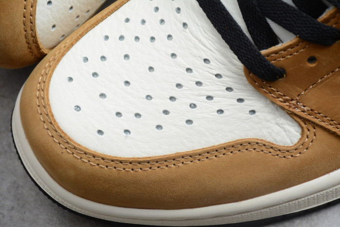 Air Jordan 1 Rookie of the Year 555088-700