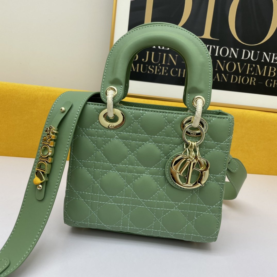 Dior The LADY D-LITE Bag