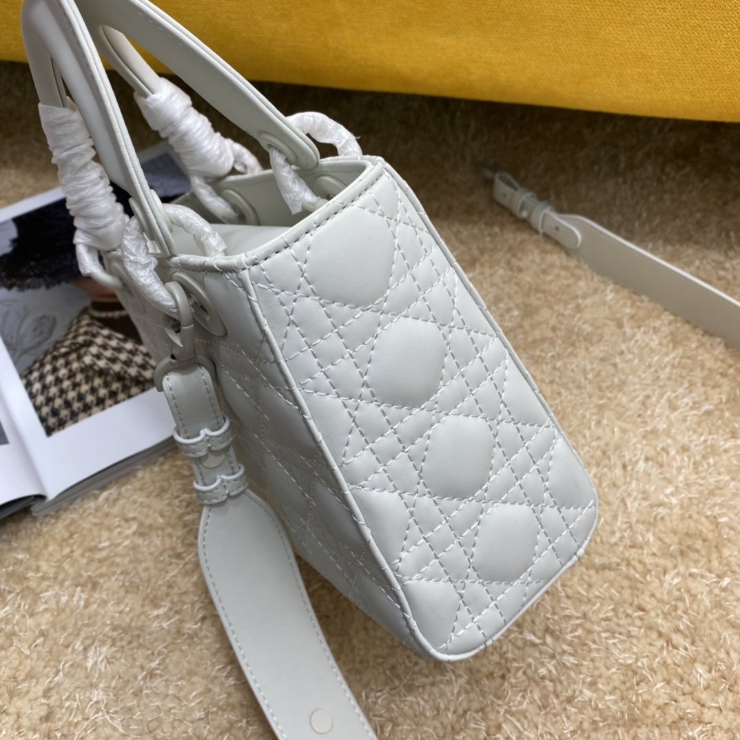 Dior The LADY D-LITE Bag