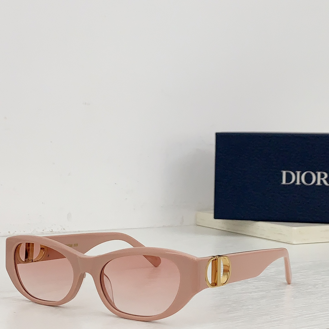 Dior Hollow Logo Sunglasses