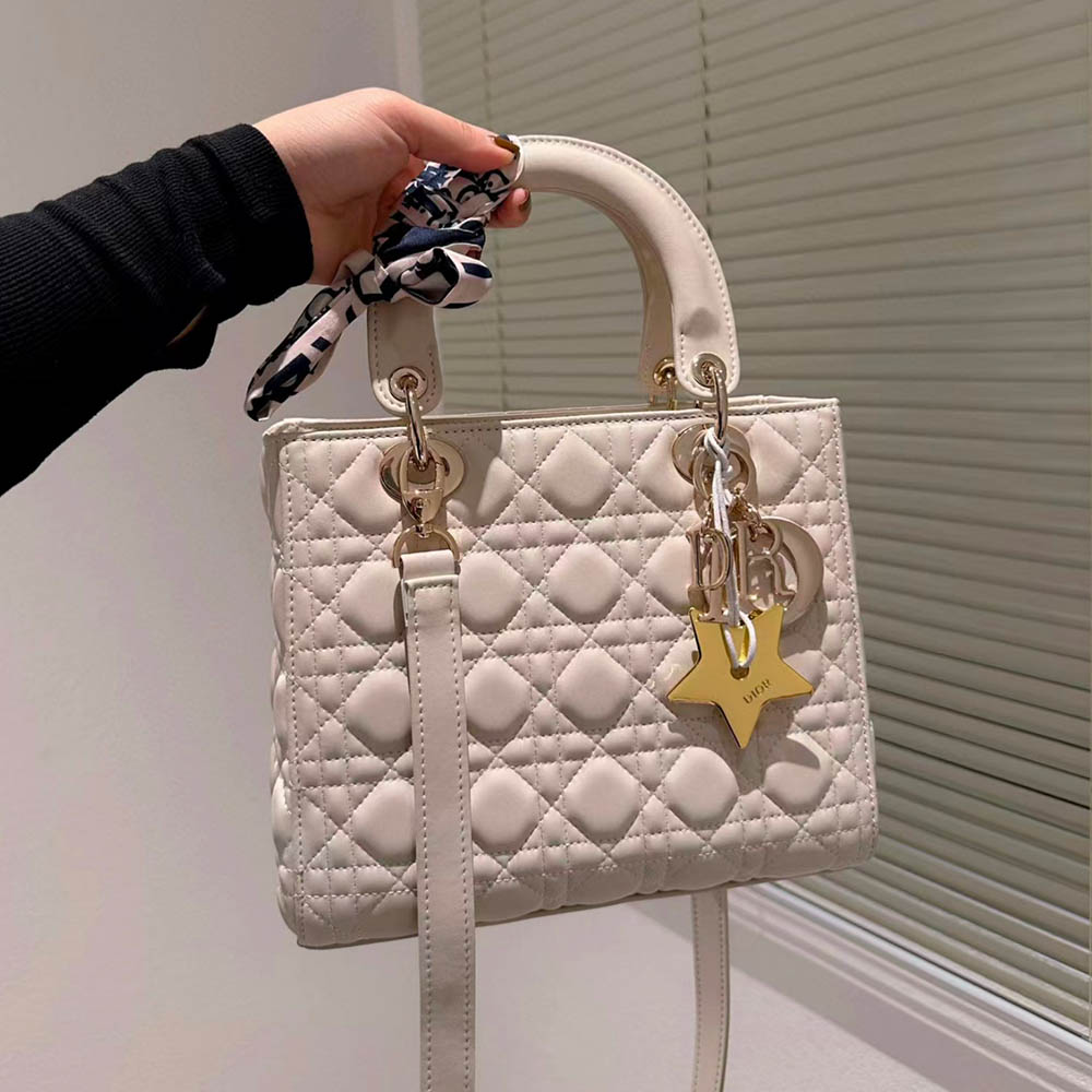 Dior Medium Lady Dior Bag
