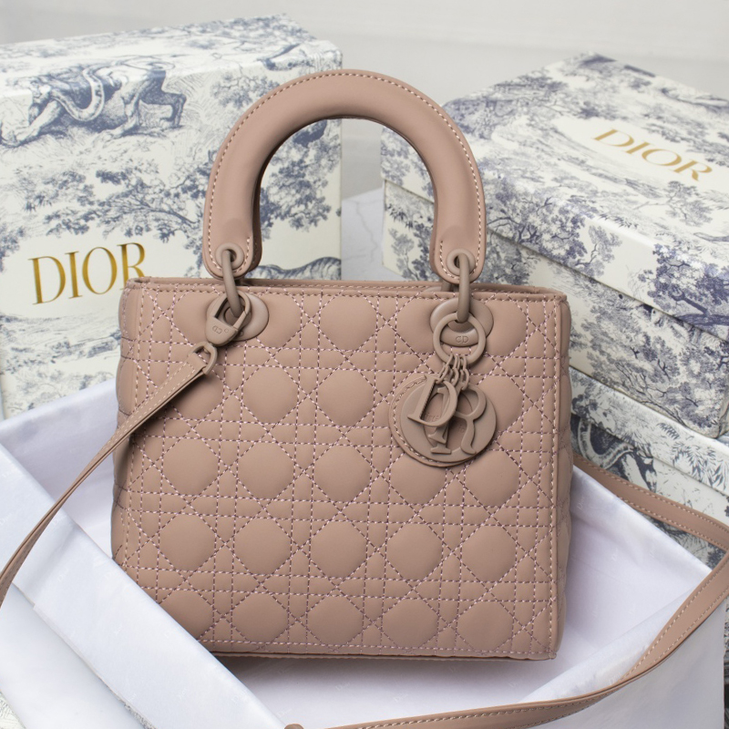 Dior The LADY D-LITE Bag