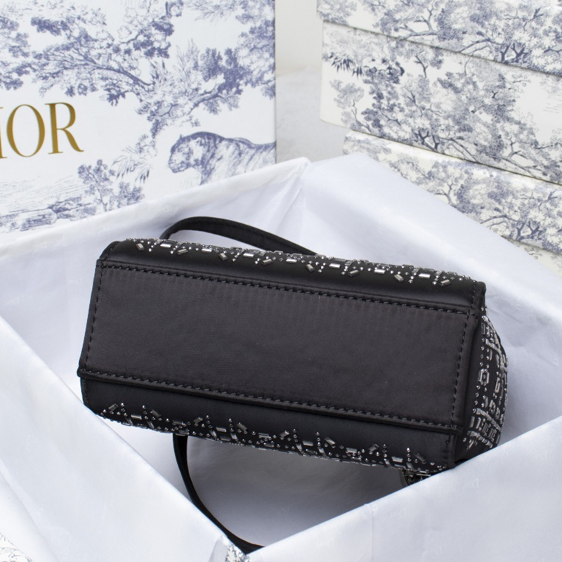 Dior The LADY D-LITE Bag