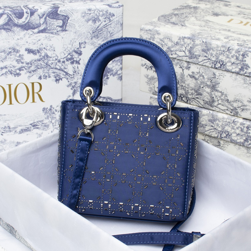 Dior The LADY D-LITE Bag