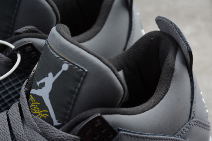 Air Jordan 4 Cool Grey 2019 308497-007