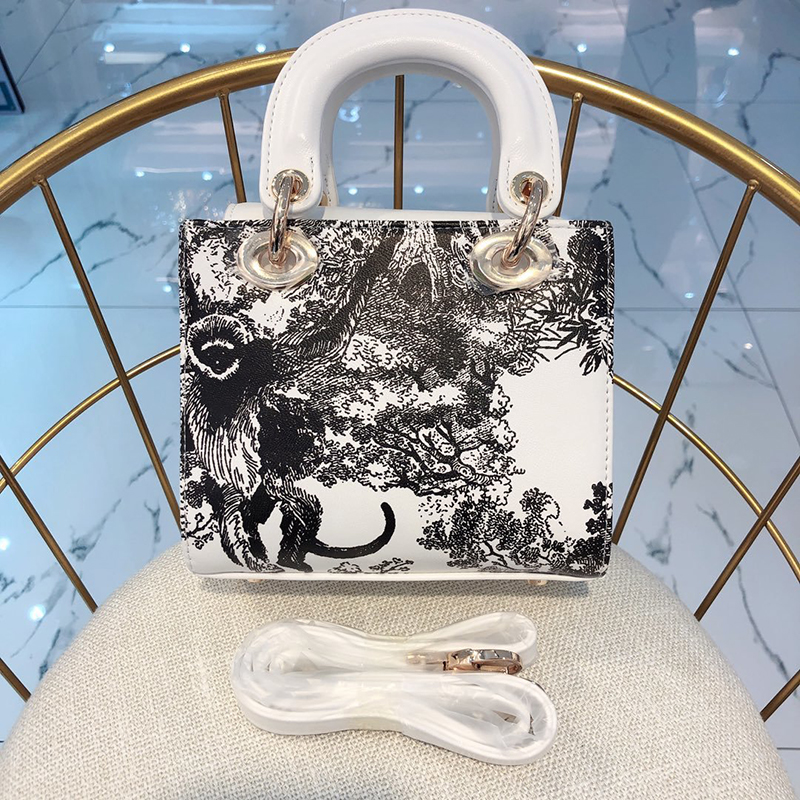 Dior The LADY D-LITE Bag