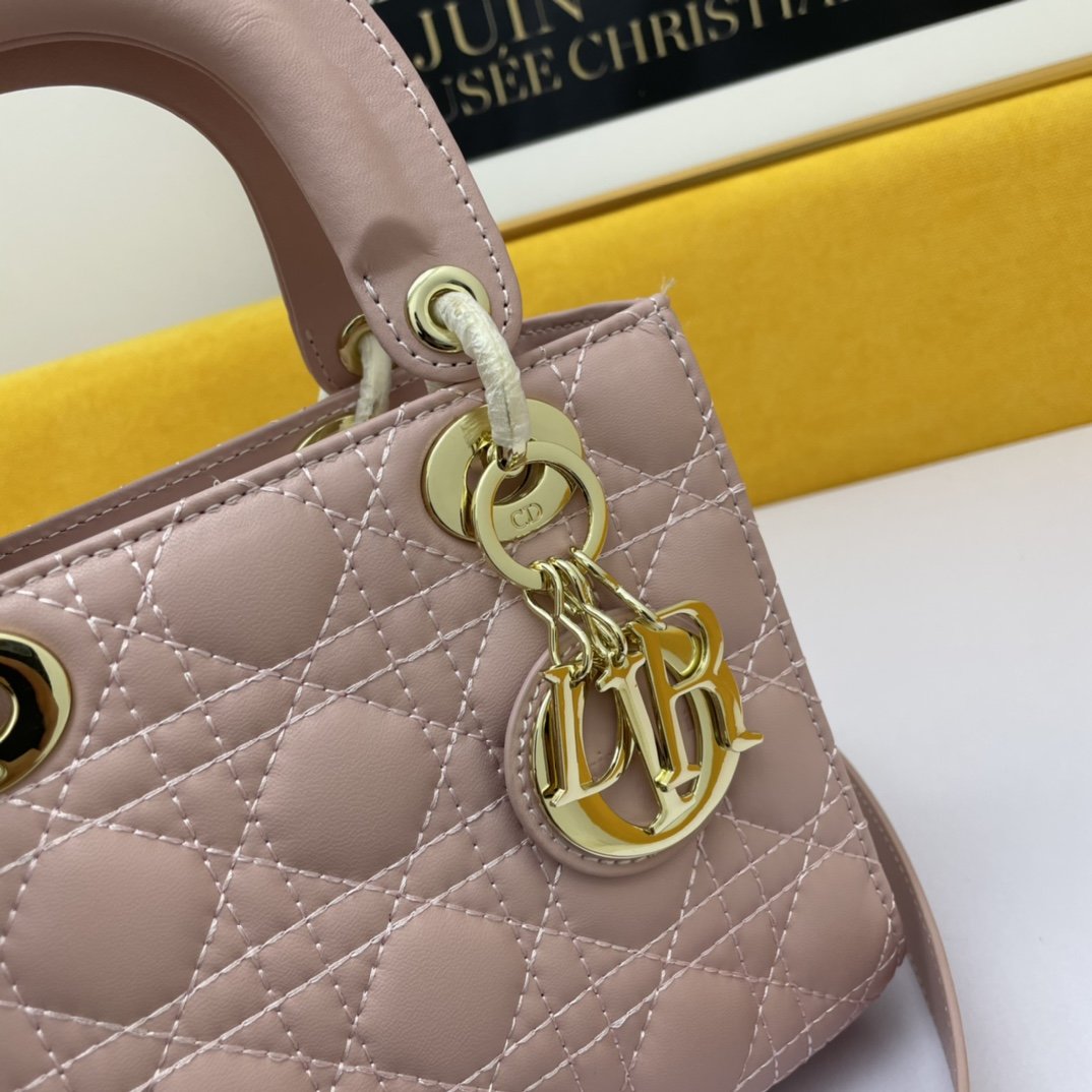 Dior The LADY D-LITE Bag
