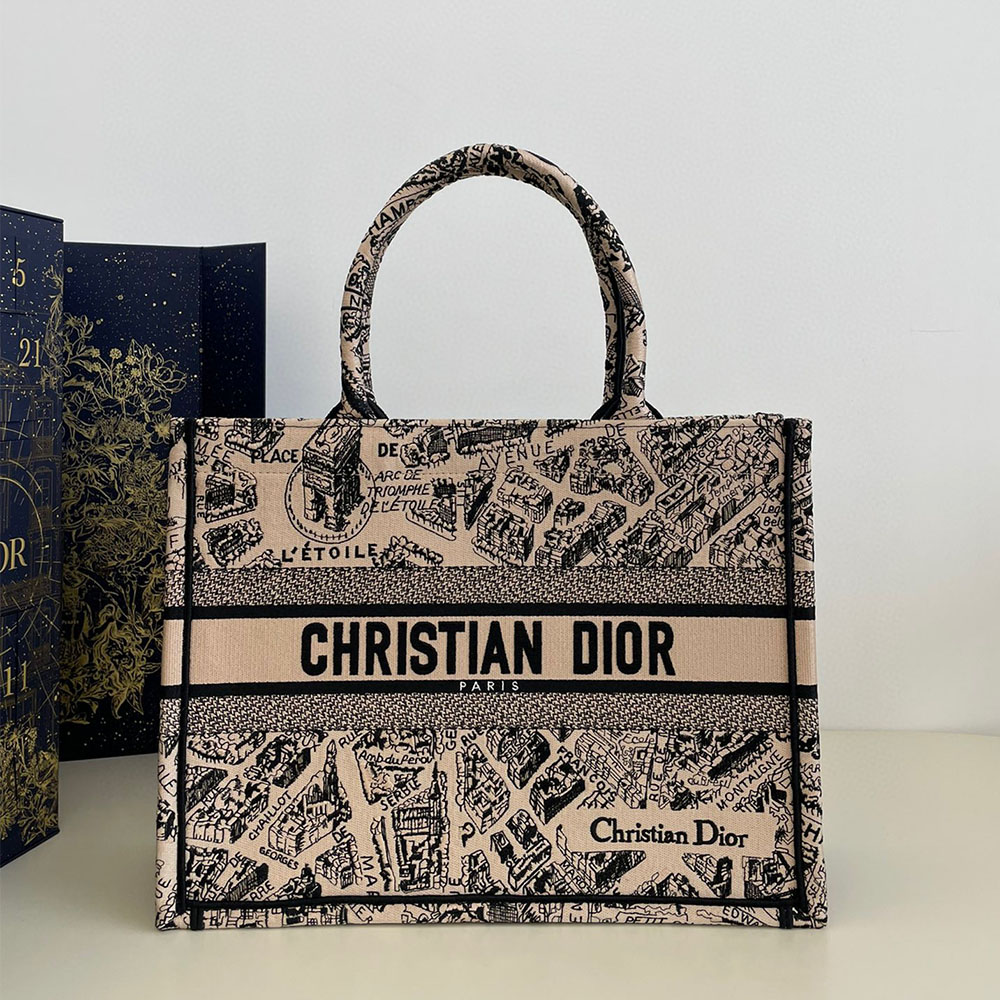 DIOR Book Tote Paris Map Bags
