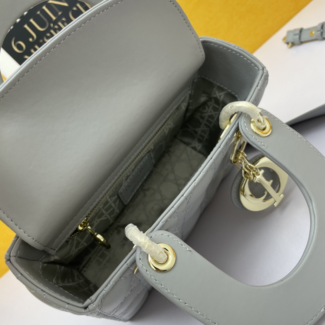 Dior The LADY D-LITE Bag