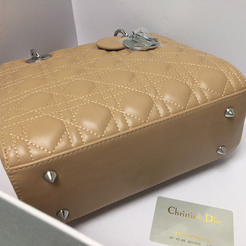 Dior The LADY D-LITE Bag