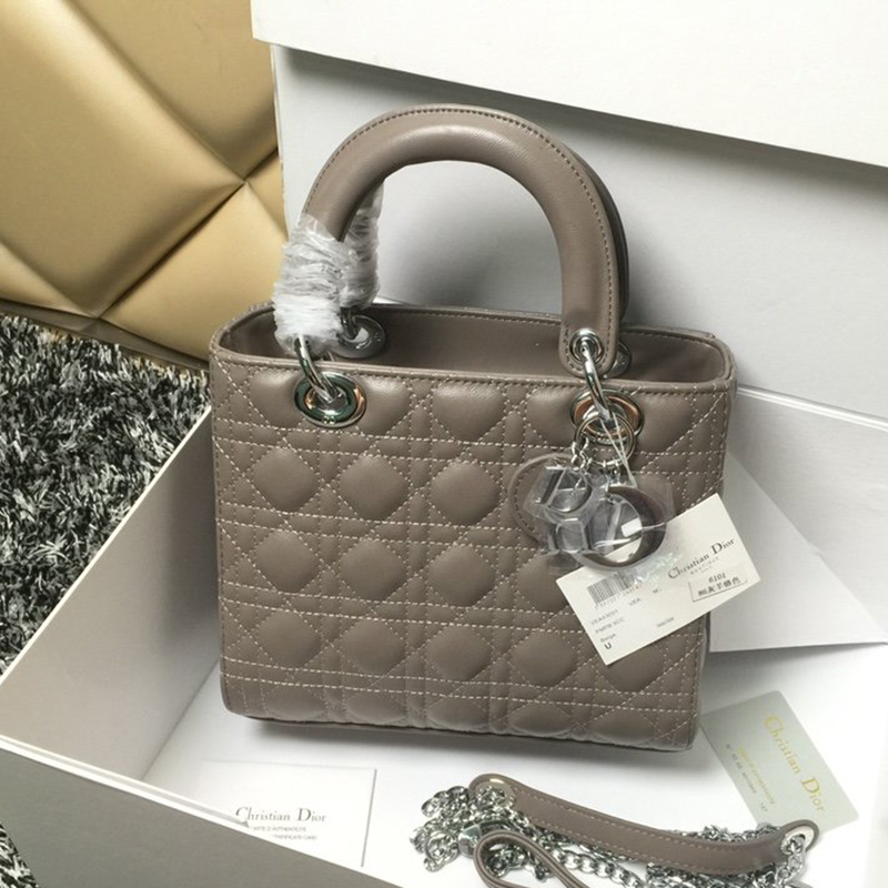Dior The LADY D-LITE Bag