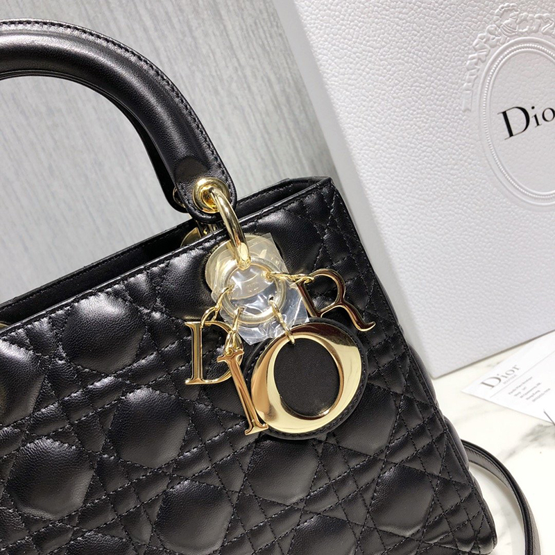Dior The LADY D-LITE Bag