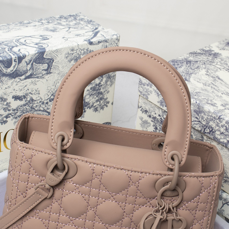Dior The LADY D-LITE Bag