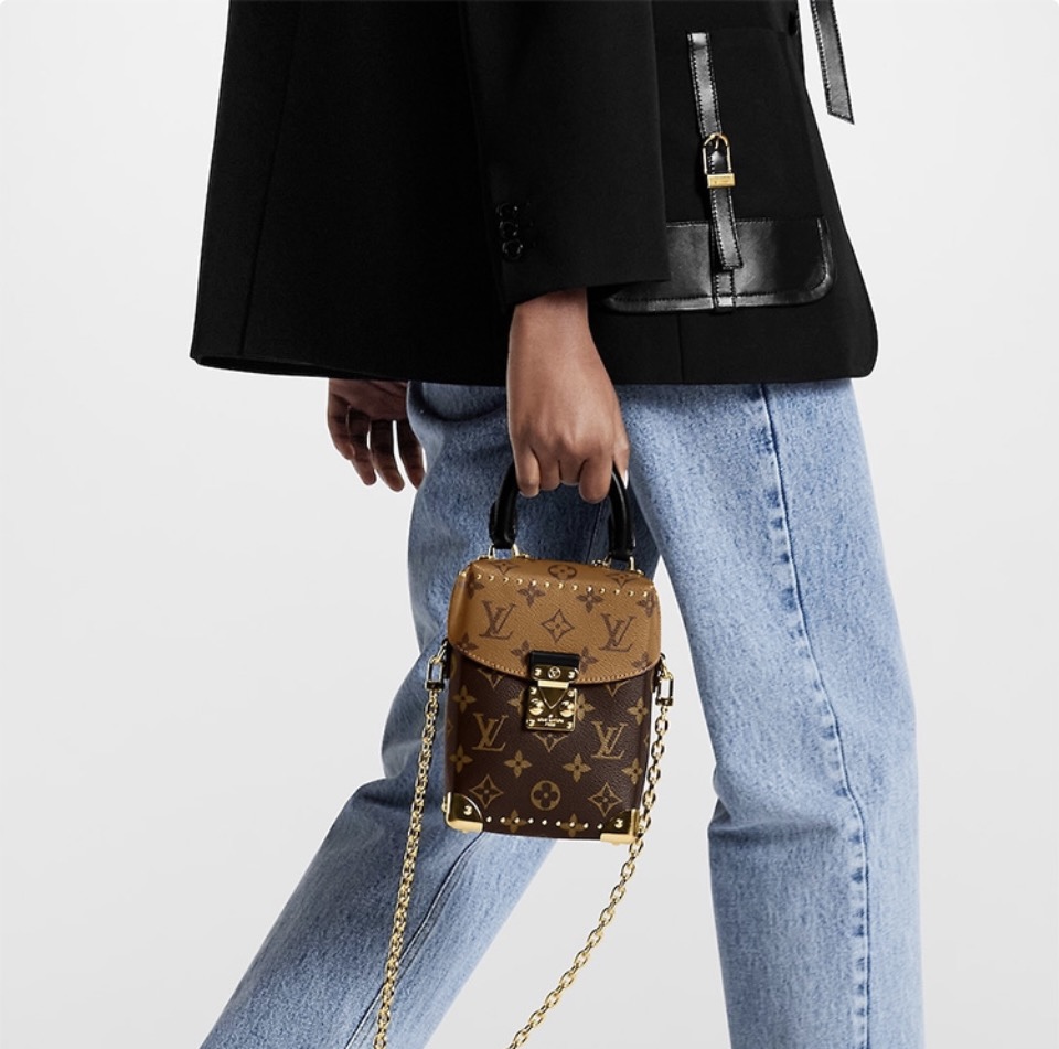 Louis Vuitton LV Camera Bag