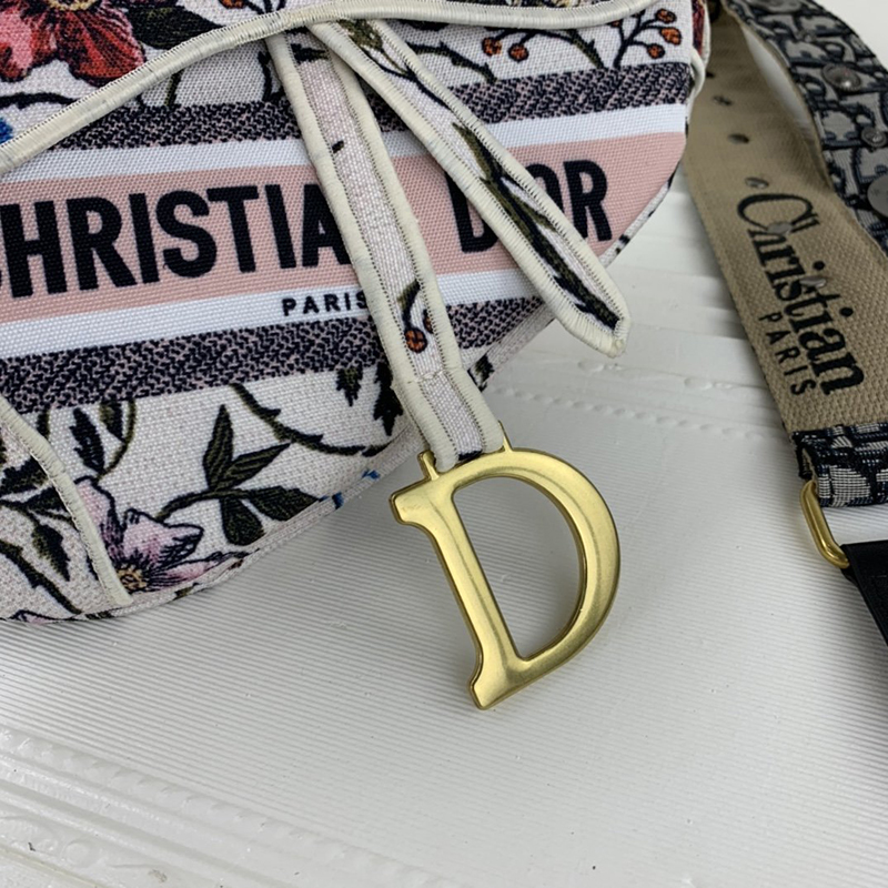 Dior SADDLE Bag