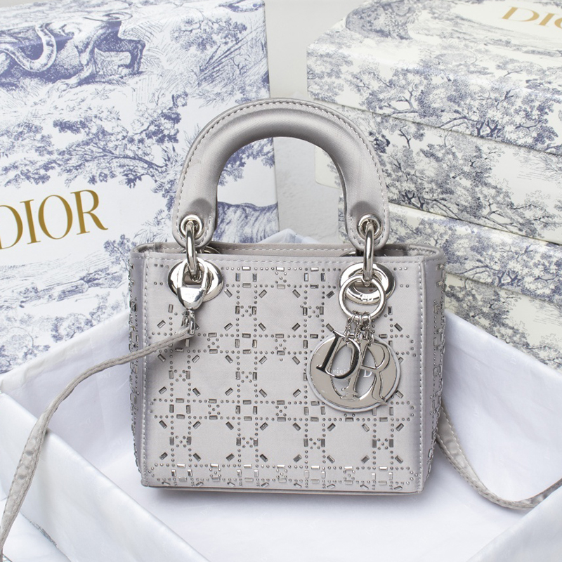 Dior The LADY D-LITE Bag