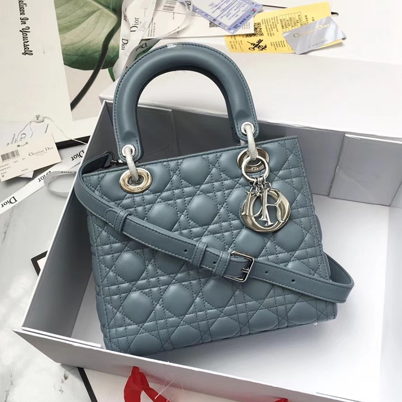 Dior The LADY D-LITE Bag