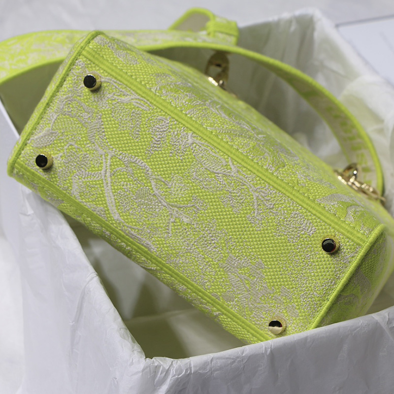 Dior The LADY D-LITE Bag Lime Toile de Jouy Reverse Embroidery M0565ORGO_M60E