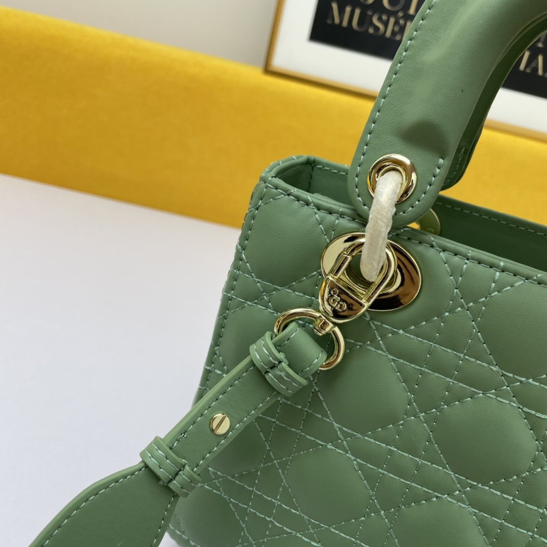 Dior The LADY D-LITE Bag