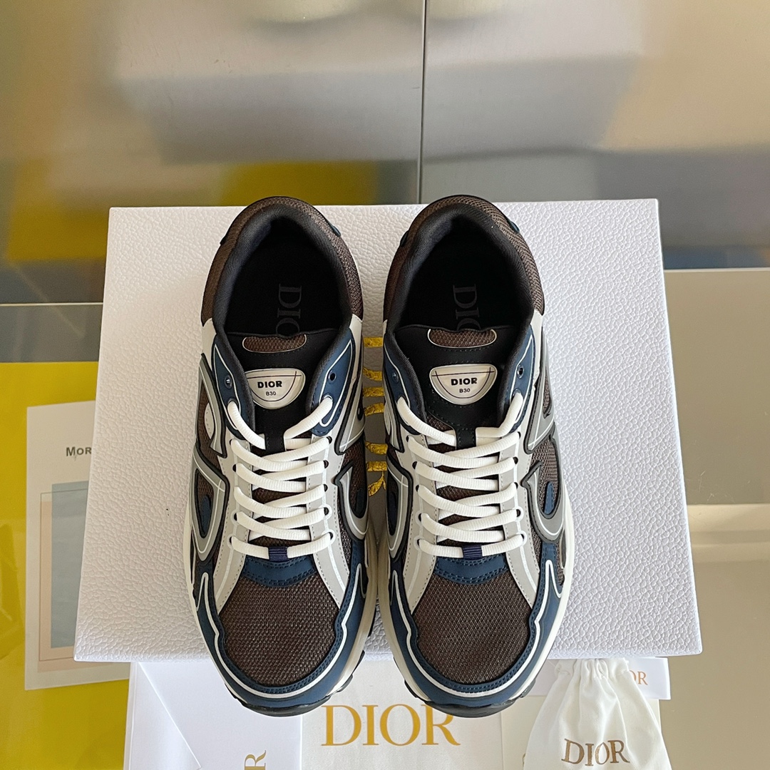 Dior B30 Dad Sneakers Brown