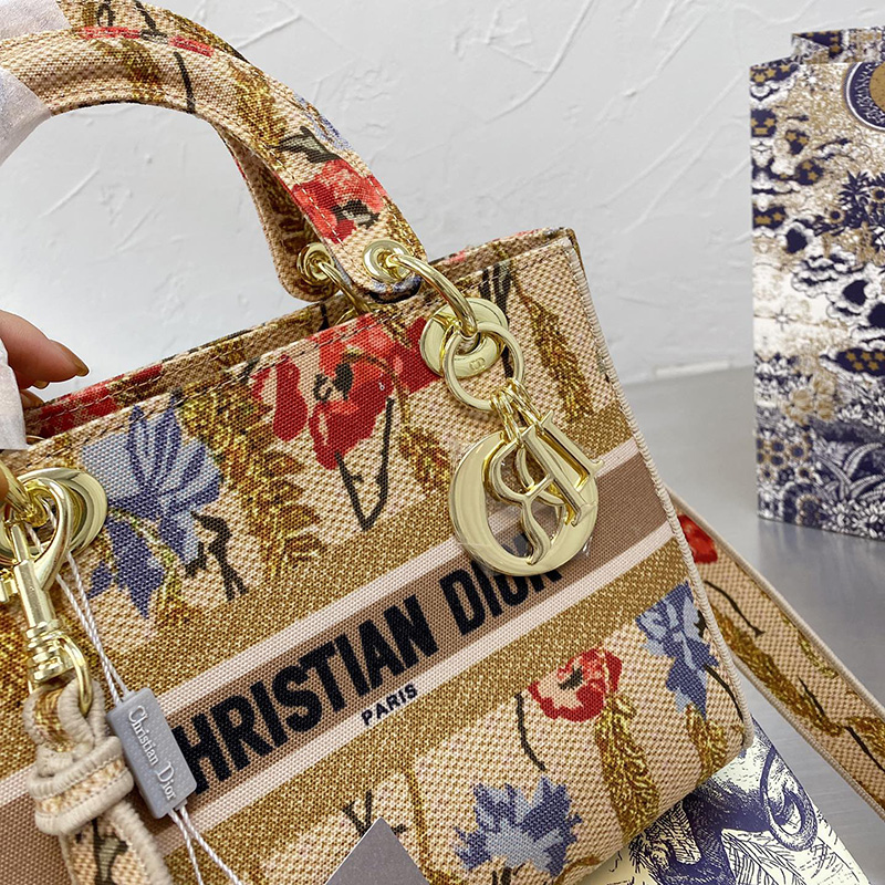 Dior The LADY D-LITE Bag