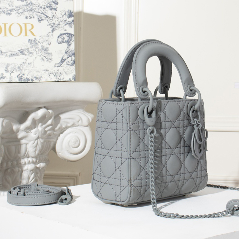 Dior The LADY D-LITE Bag