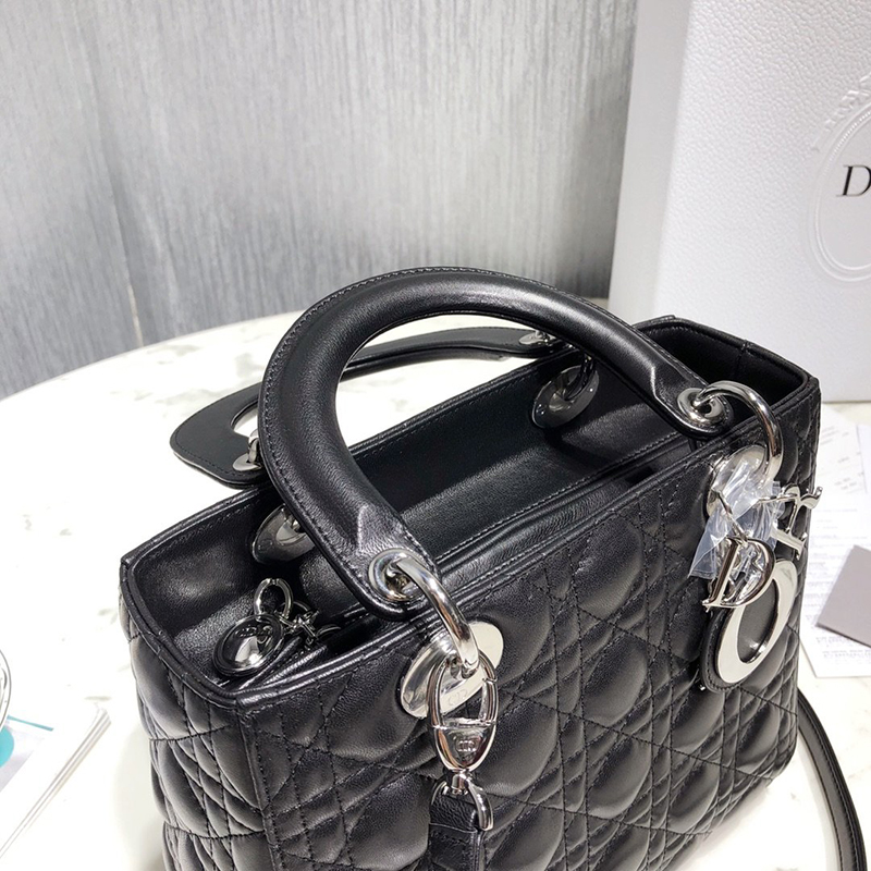 Dior The LADY D-LITE Bag