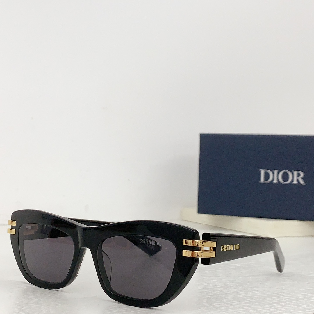 Dior Thick Acetate Sunglasses