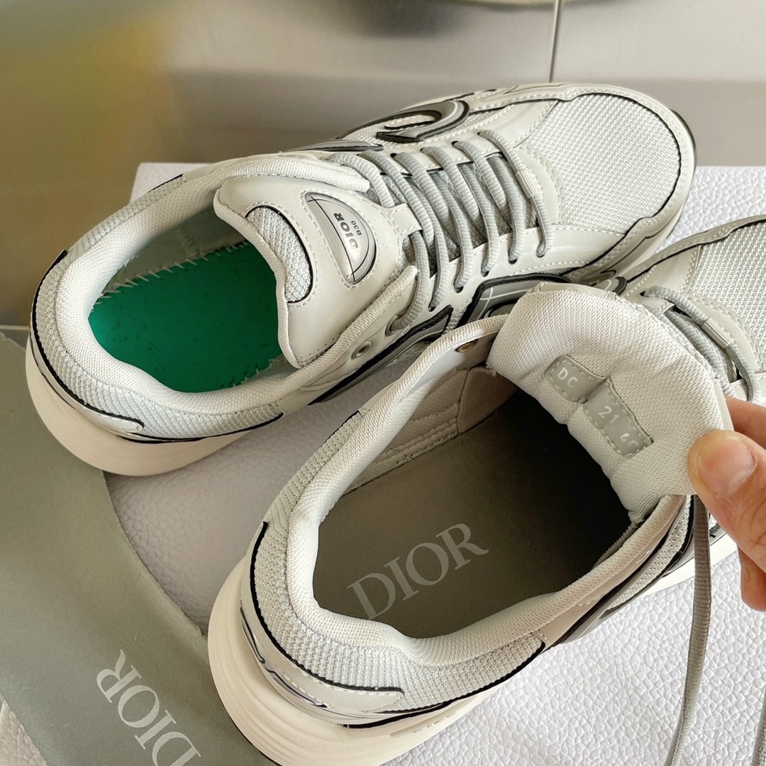 Dior B30 Dad Sneakers Gray