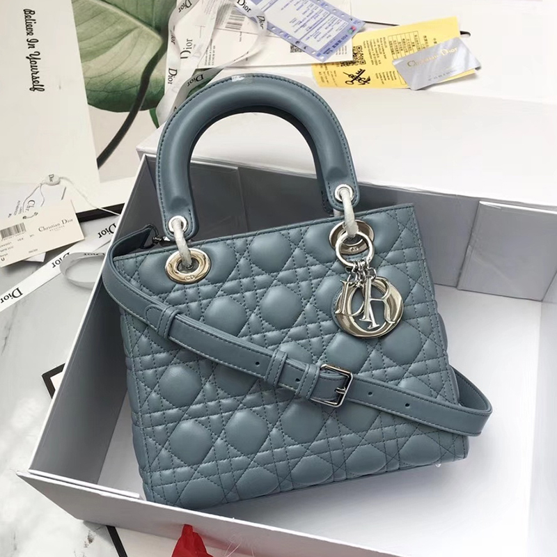 Dior The LADY D-LITE Bag