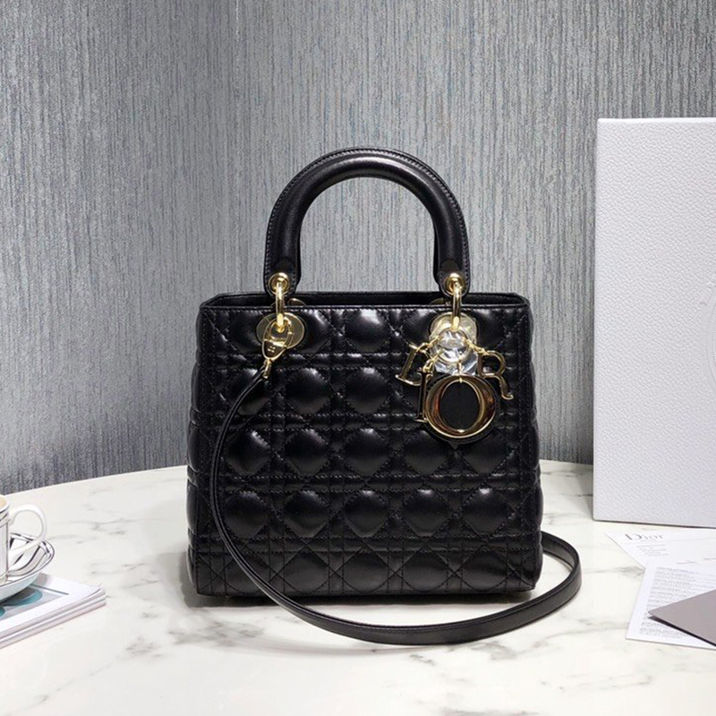 Dior The LADY D-LITE Bag