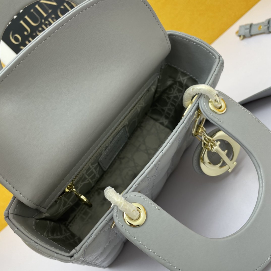 Dior The LADY D-LITE Bag
