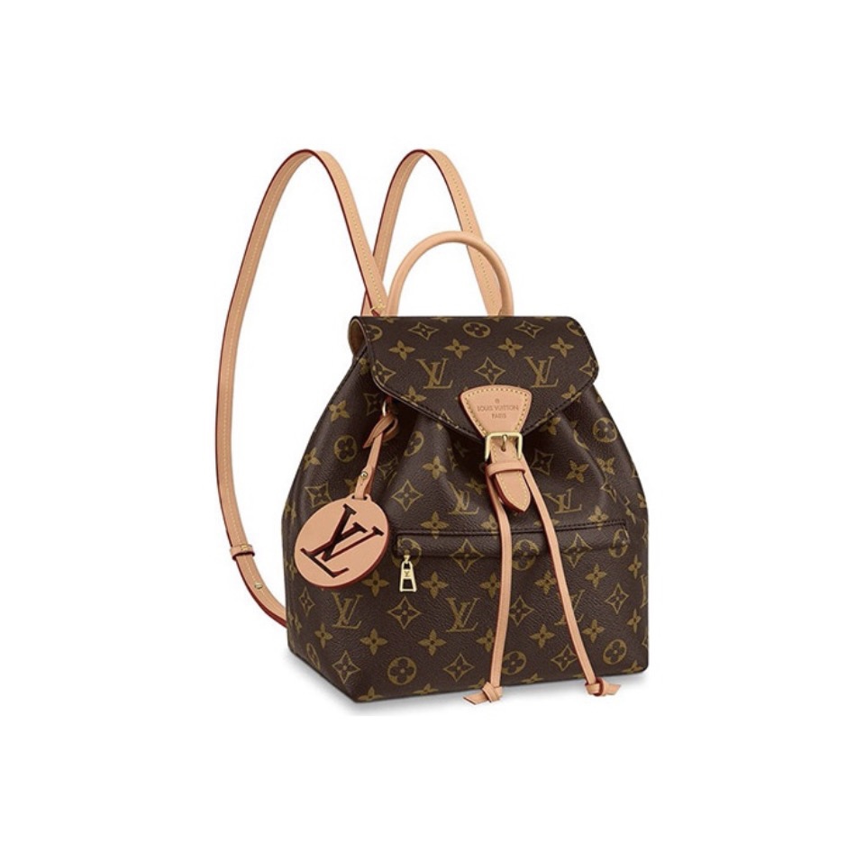 Louis Vuitton LV Montsouris Backpack