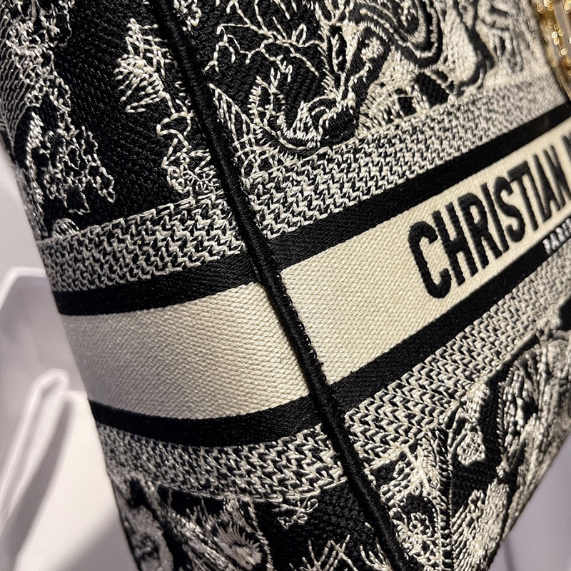 Dior The LADY D-LITE Bag Blue Toile de Jouy Reverse Embroidery M0565ORGO_M928