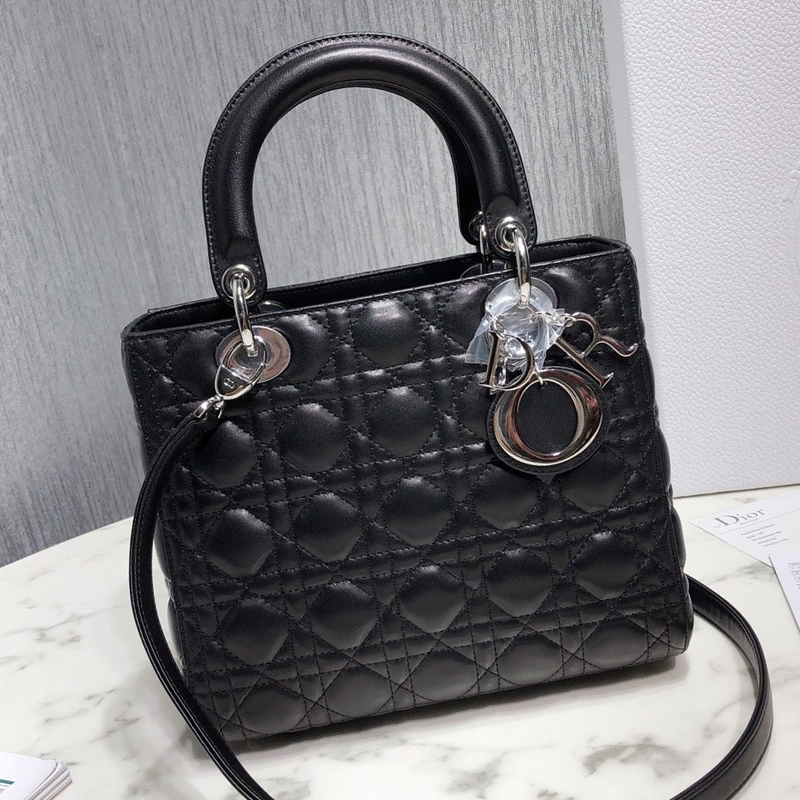 Dior The LADY D-LITE Bag
