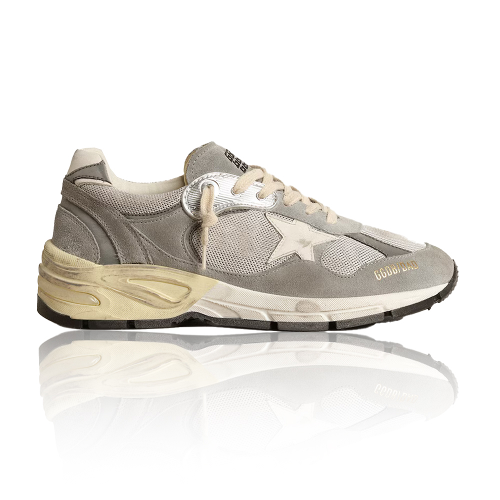 Golden Goose Dad-Star Shoes in Dove Gray Mesh and Suede