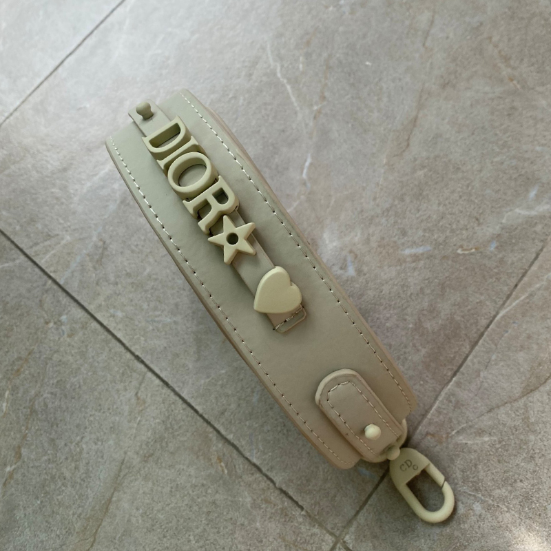 Dior The LADY D-LITE Bag