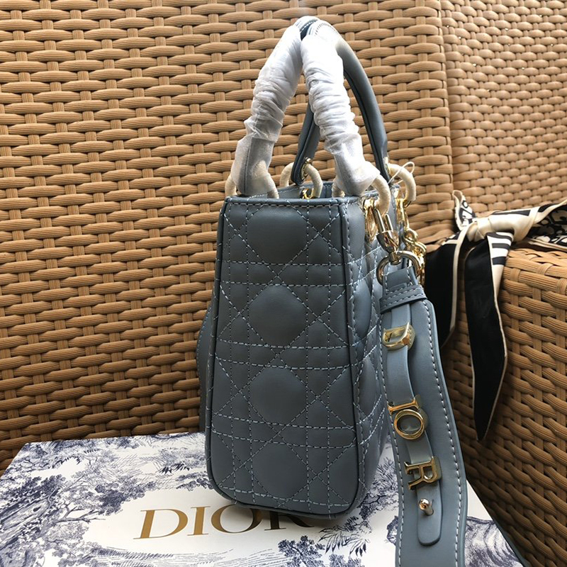 Dior The LADY D-LITE Bag