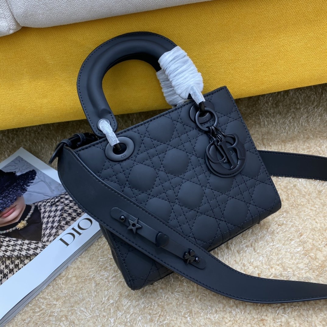 Dior The LADY D-LITE Bag
