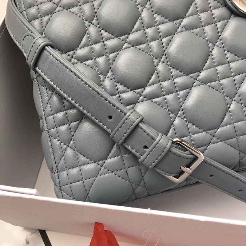 Dior The LADY D-LITE Bag