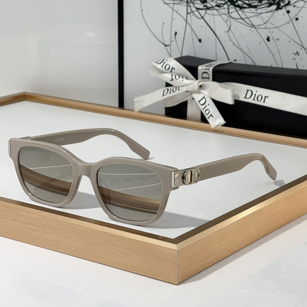 Dior  Hinge Design Acetate Fibre sunglasses