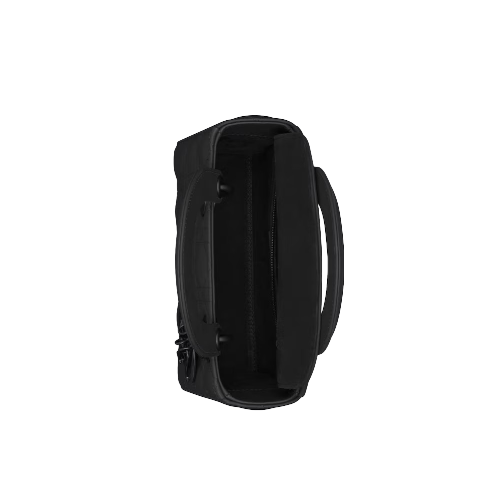 Dior The LADY D-LITE Bag