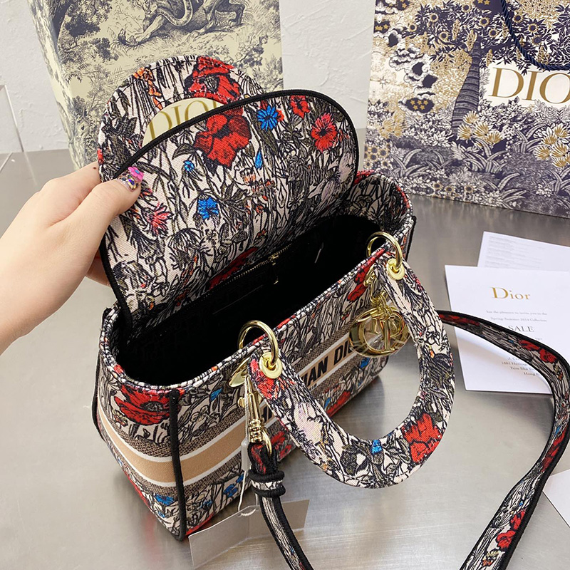 Dior The LADY D-LITE Bag