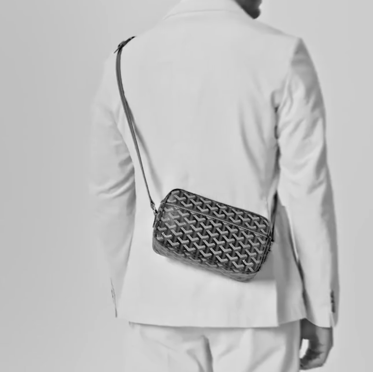 Goyard Cap-Vert PM Bag