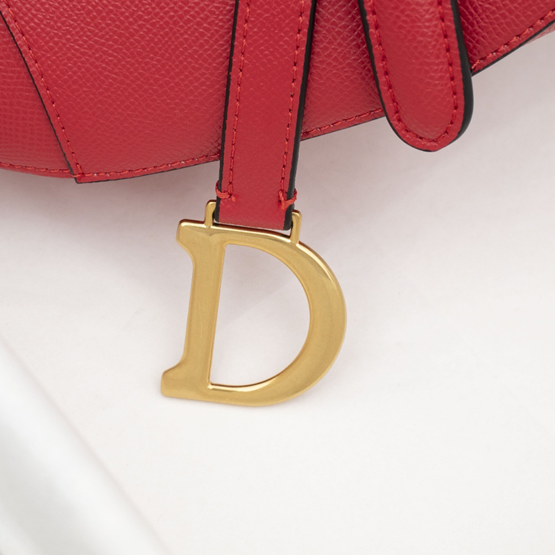 Dior Womens Bags Shoulder Bags MINI SADDLE BAG