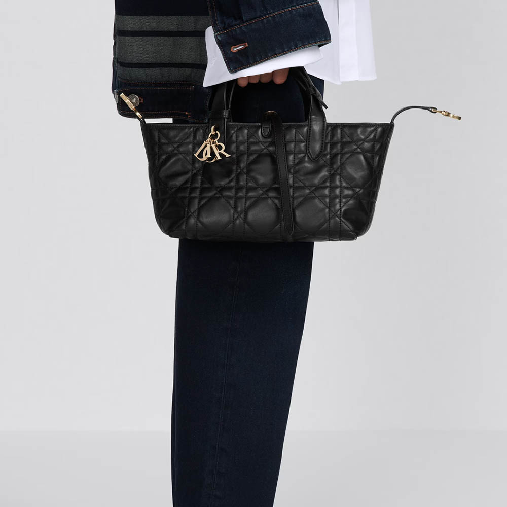 Dior Toujours Small Cowhide