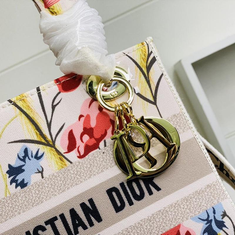 Dior The LADY D-LITE Bag