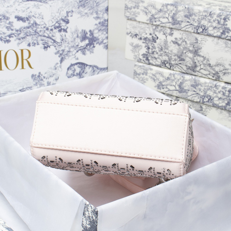 Dior The LADY D-LITE Bag